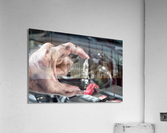 Auto mechanic and sparkplug Acrylic Print