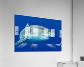 Great white shark Acrylic Print