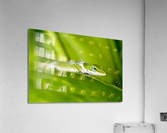Gecko in rainforest Acrylic Print