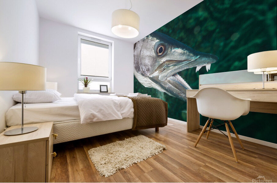 Barracuda Mural print