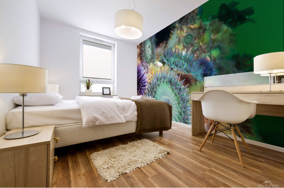 Anemones on reef Mural print