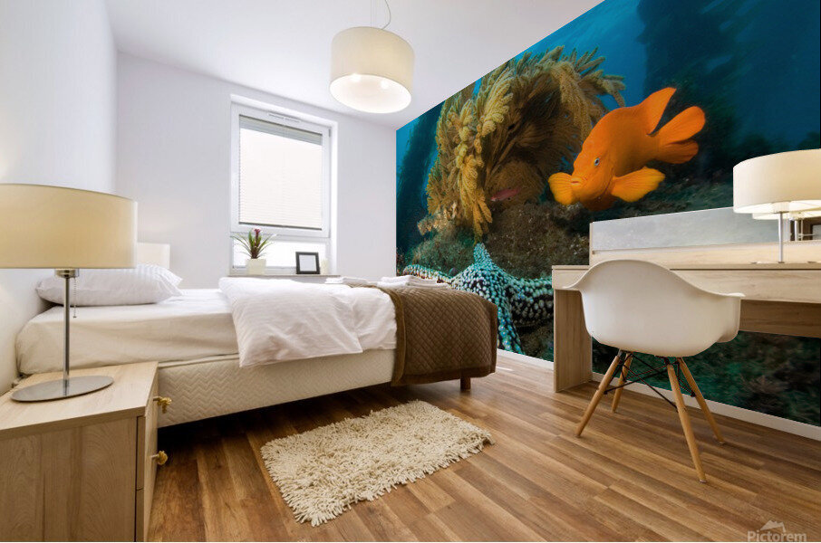 Ocean reef scenery Mural print