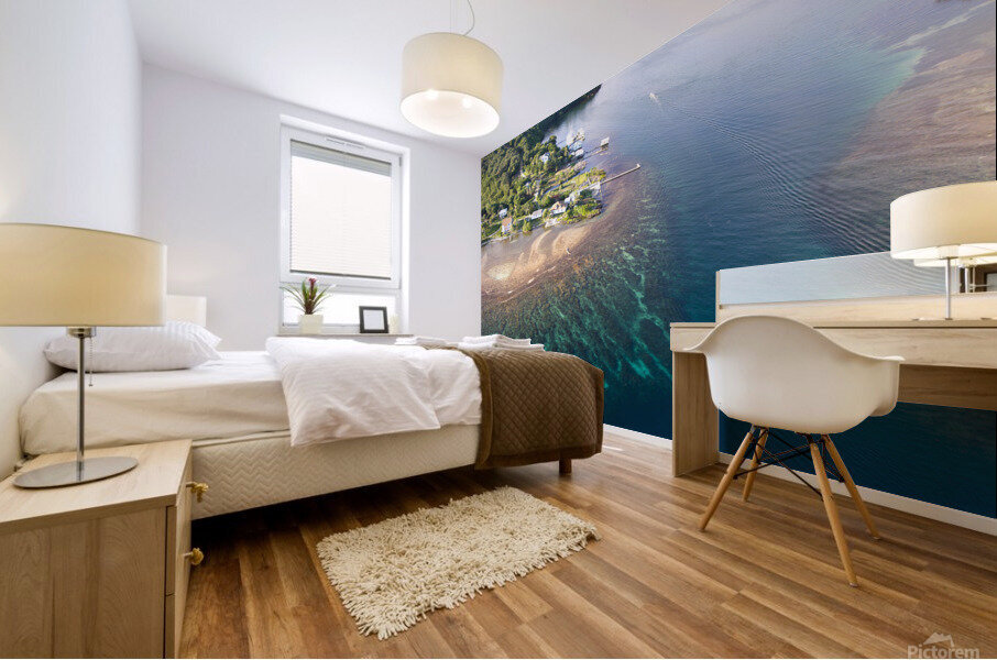 Tropical reef Mural print