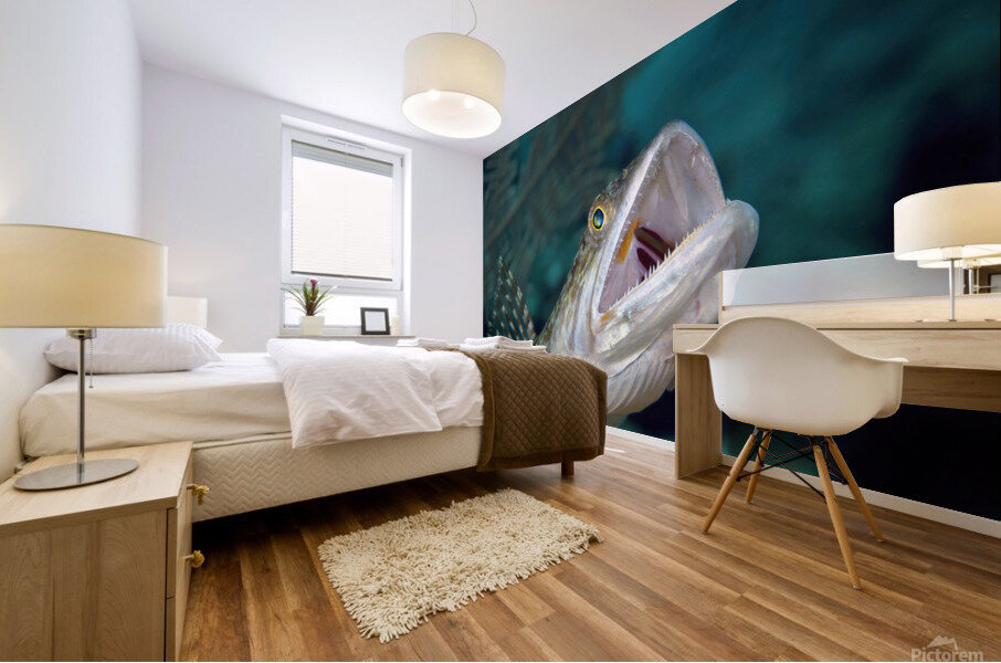 Hunting Lizard Fish Mural print