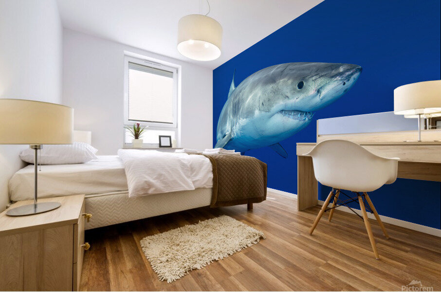 Great white shark Mural print