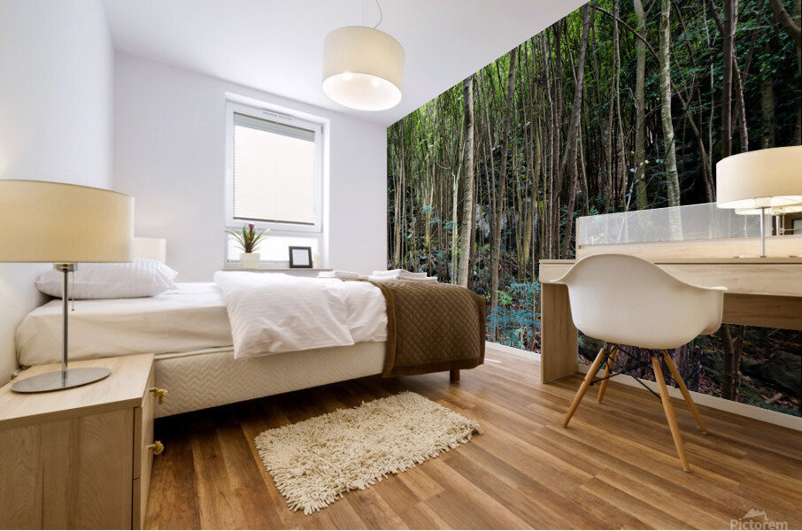 Thick rainforest Mural print