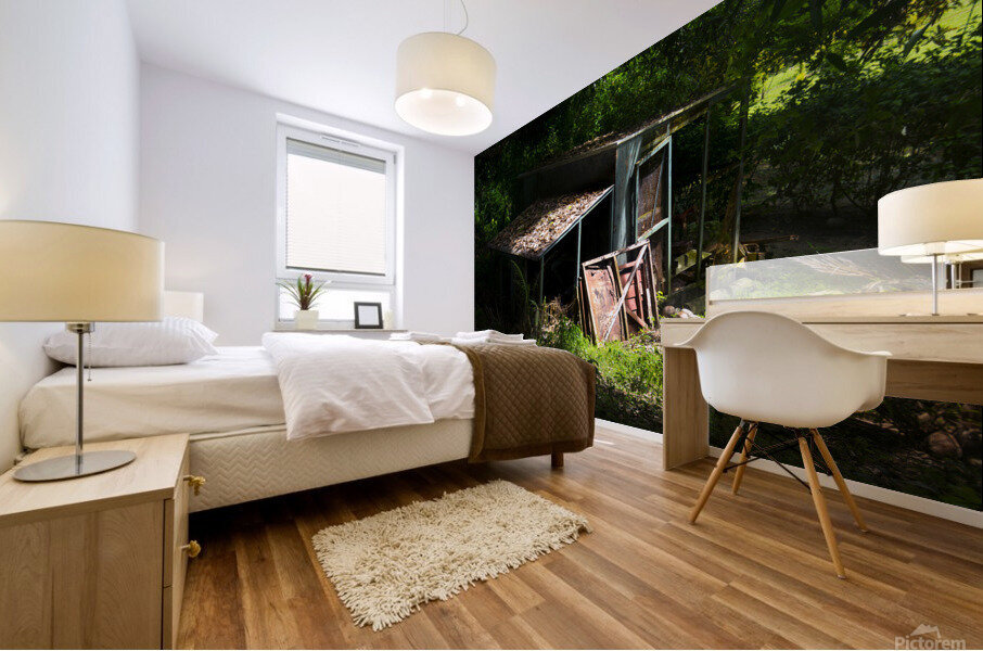 Old shack Mural print