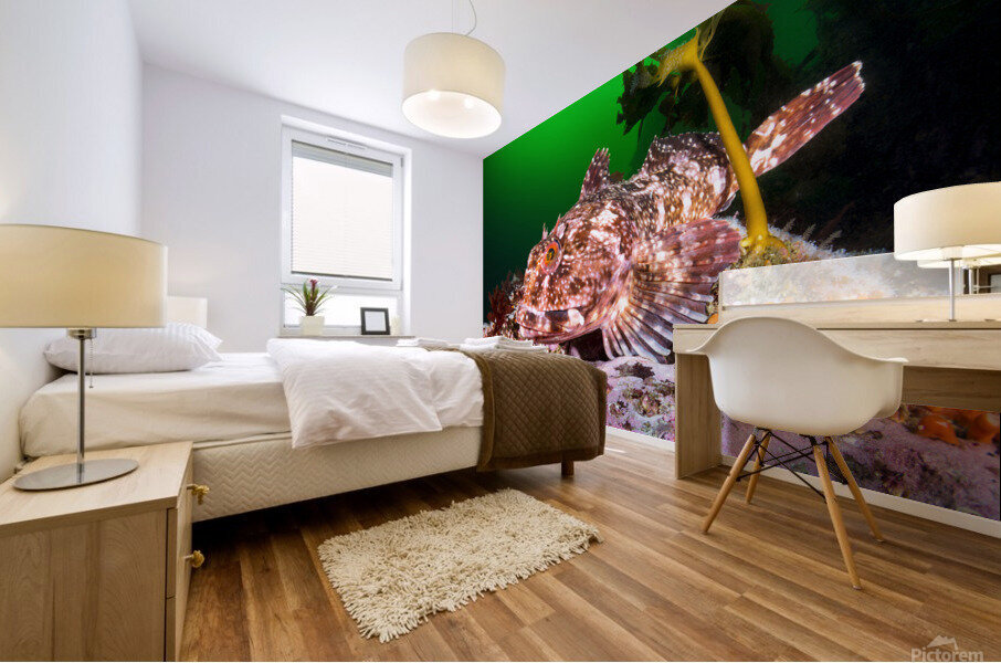 Cabezon Fish Mural print