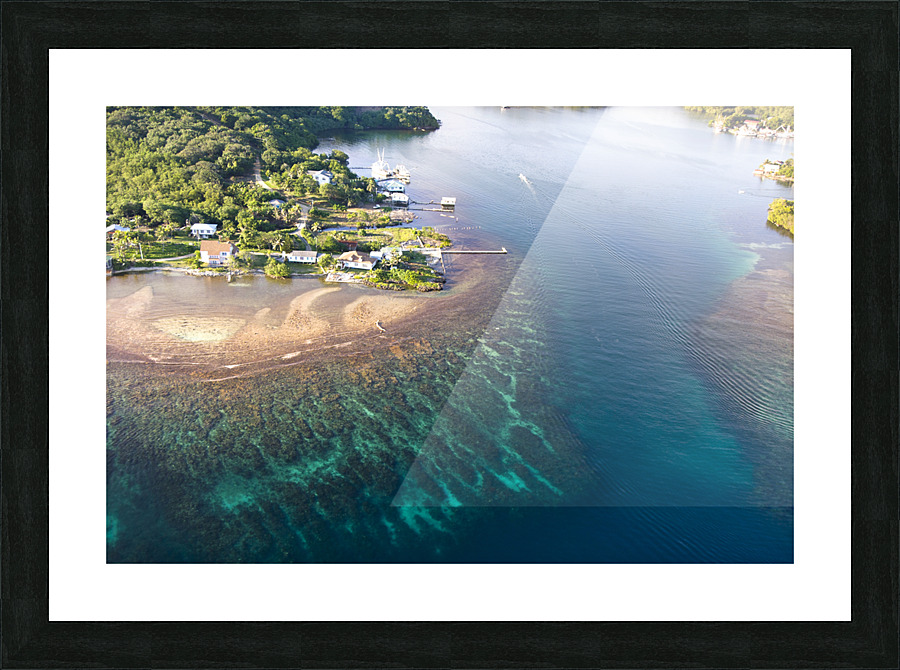 Tropical reef Picture Frame print
