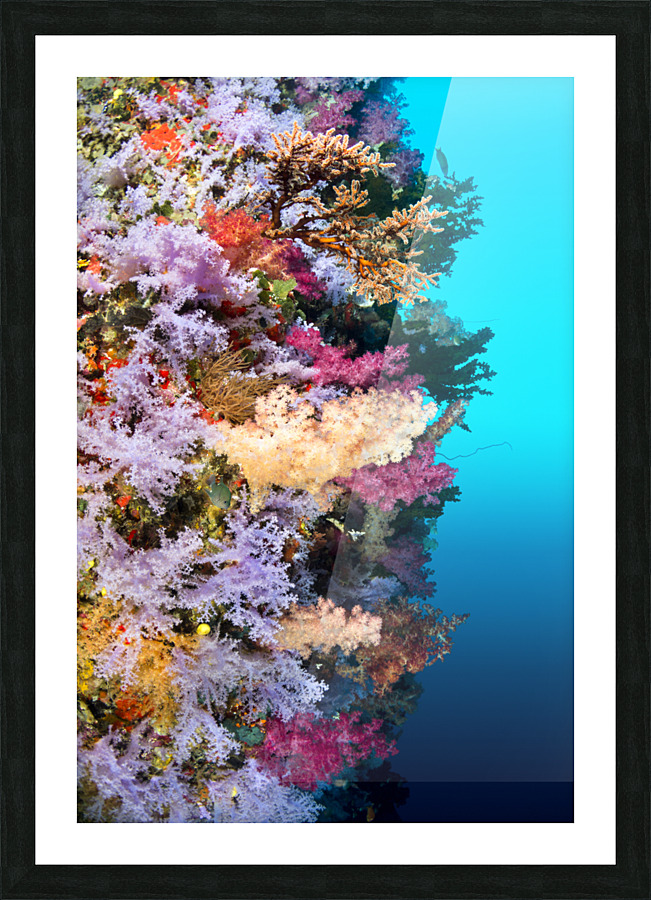 Colorful reef wall Picture Frame print