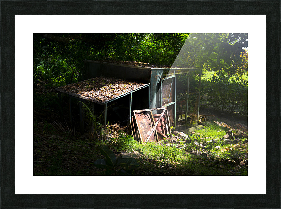 Old shack Picture Frame print
