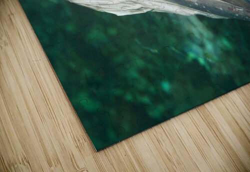 Barracuda Joe Belanger puzzle