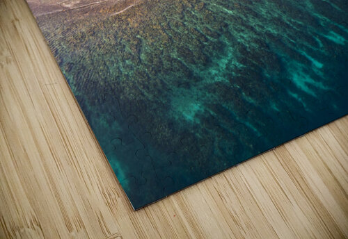 Tropical reef Joe Belanger puzzle