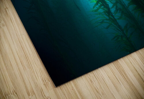 Kelp bed Joe Belanger puzzle
