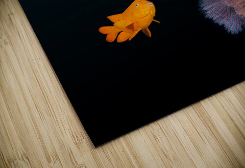 California reef Joe Belanger puzzle