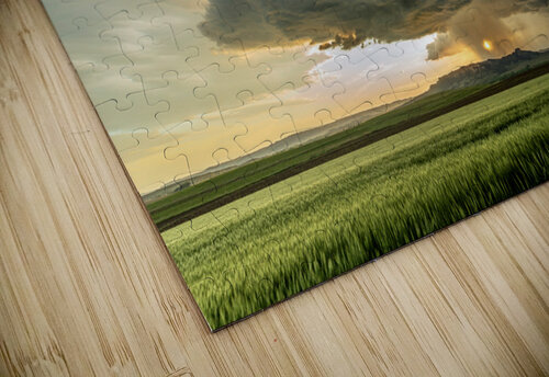 Tornadic Cell over Grassy Field Joe Belanger puzzle