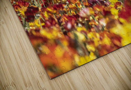 Flower field during spring Joe Belanger puzzle