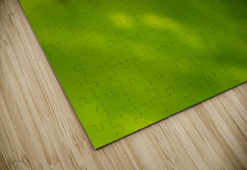 Gecko in rainforest Joe Belanger puzzle