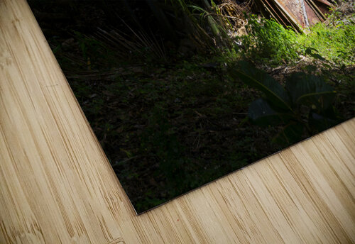 Old shack Joe Belanger puzzle