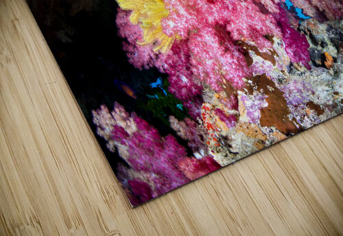 Exotic Coral Reef Joe Belanger puzzle