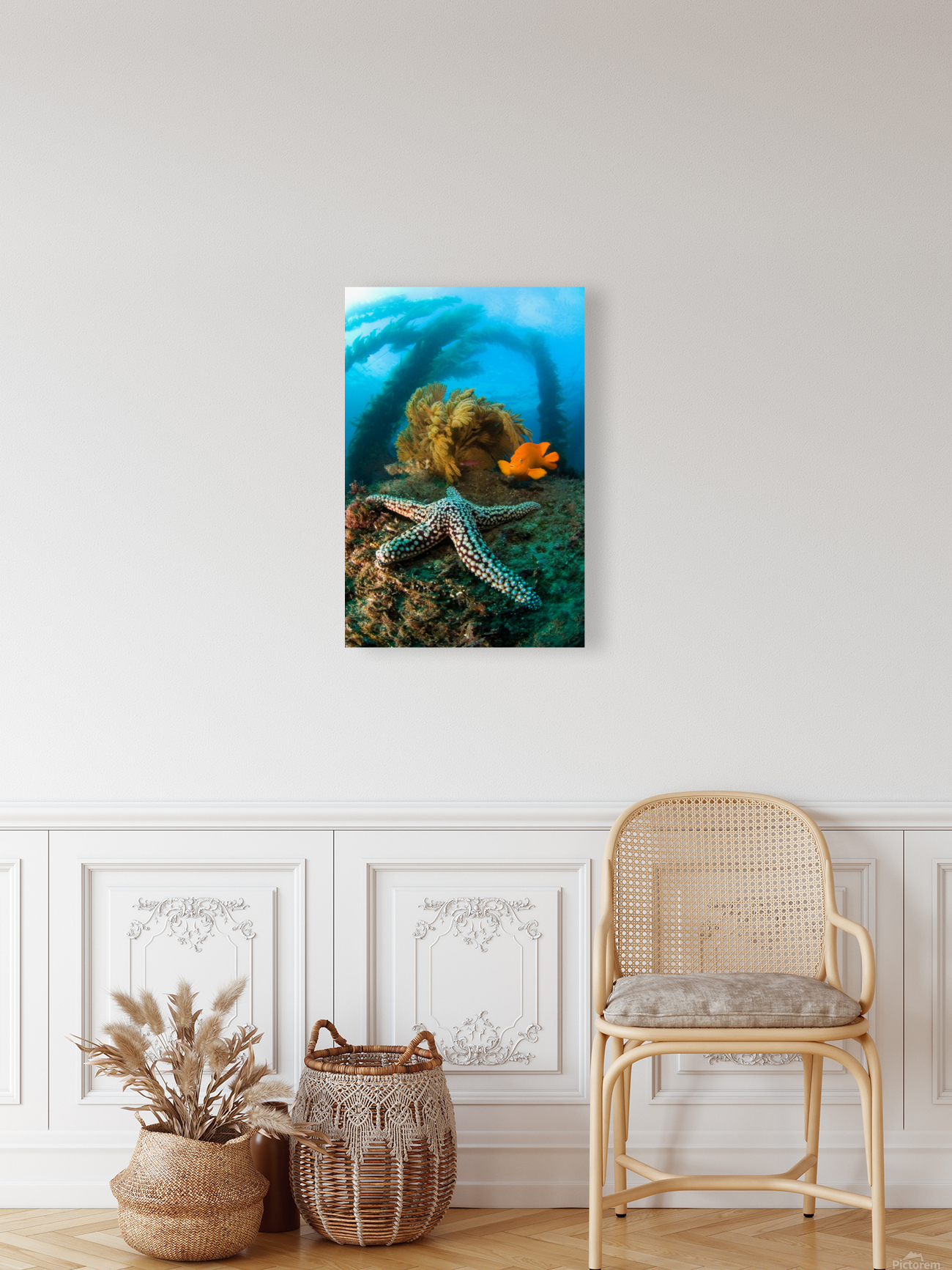 Ocean reef scenery Reproduction