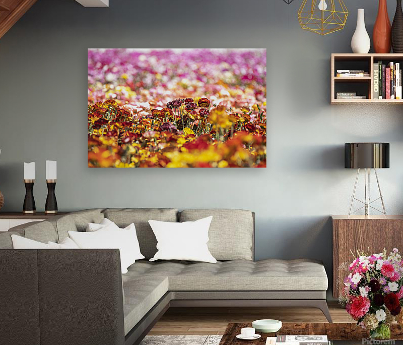 Flower field during spring Reproduction