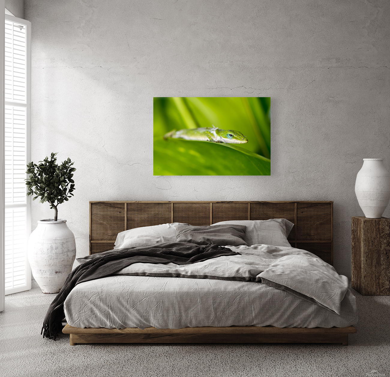 Gecko in rainforest Reproduction
