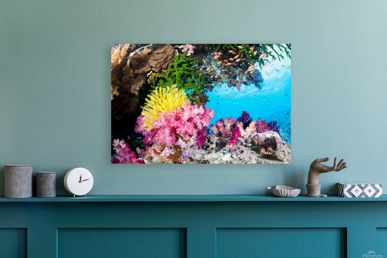 Exotic Coral Reef Reproduction