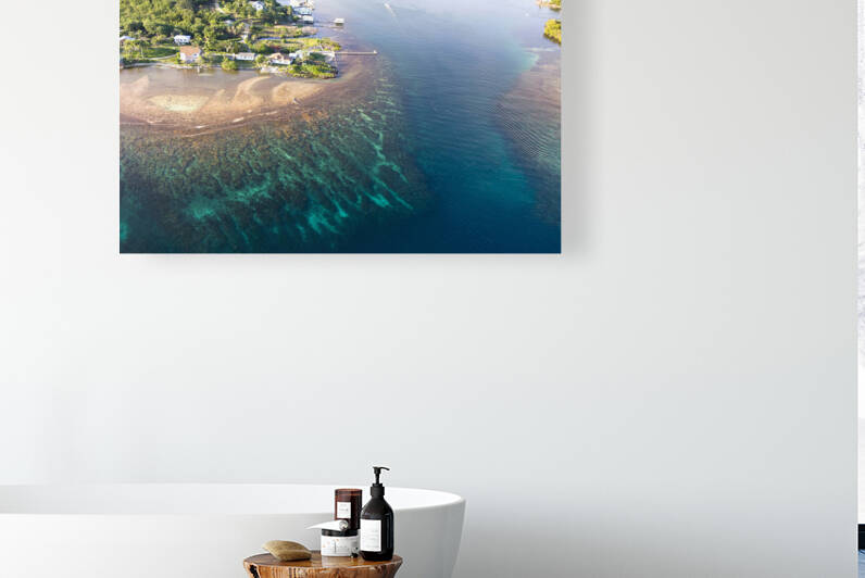 Tropical reef by Joe Belanger