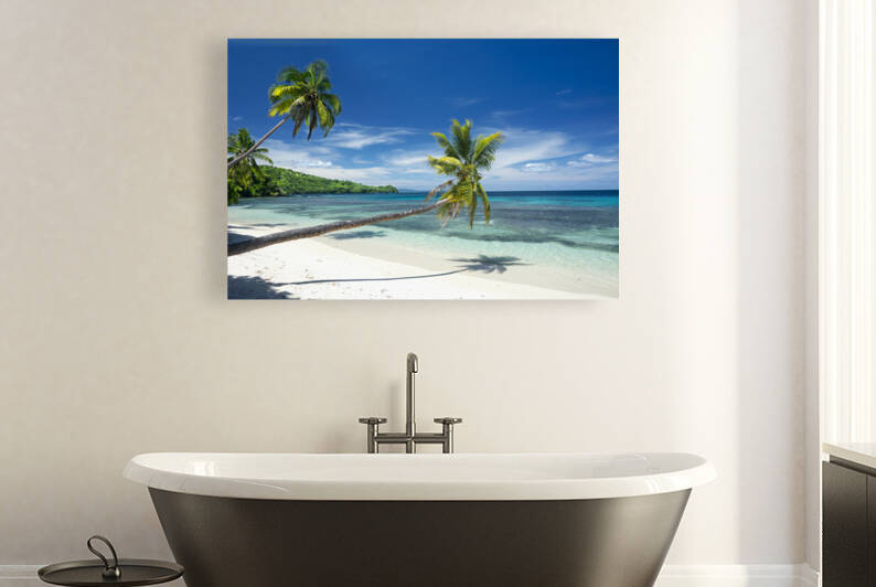 Tropical white sand beach by Joe Belanger