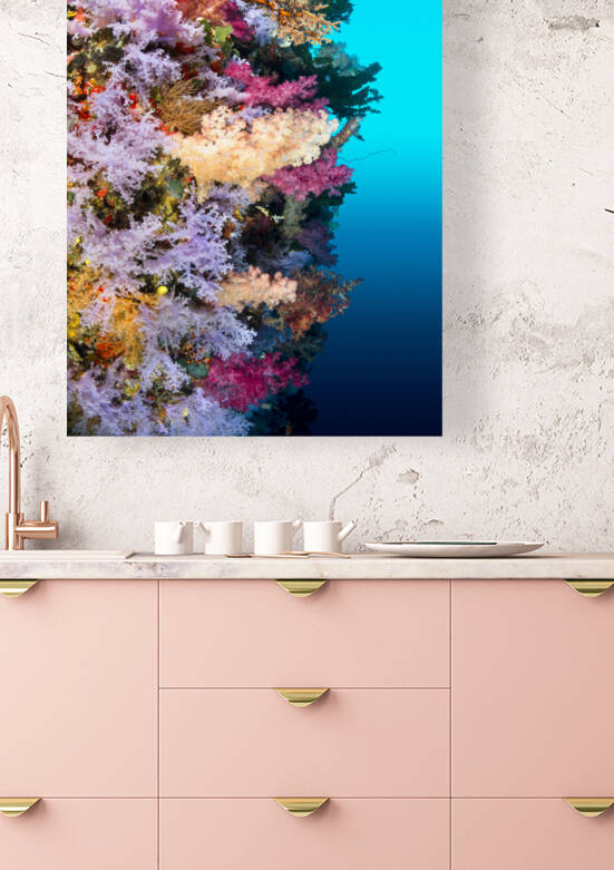 Colorful reef wall by Joe Belanger