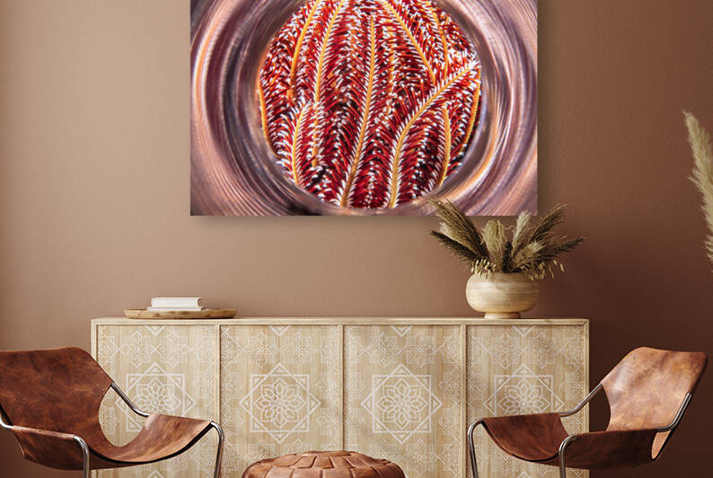 Crinoid tentacles reflect in a polished light tube by Joe Belanger