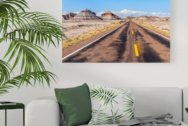 Petrified Forest National Park roadway by Joe Belanger