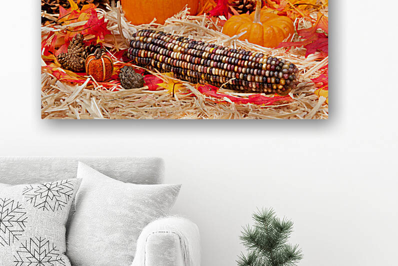Autumn theme with corn by Joe Belanger