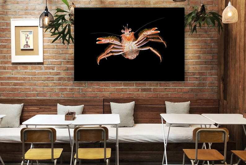 Small tuna crab at night by Joe Belanger