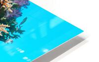 Colorful reef wall HD Metal print