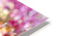 Flower field during spring HD Metal print