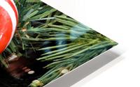 Candy cane Christmas HD Metal print