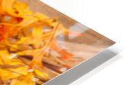 Autumn theme HD Metal print