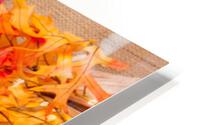 Autumn theme with corn HD Metal print
