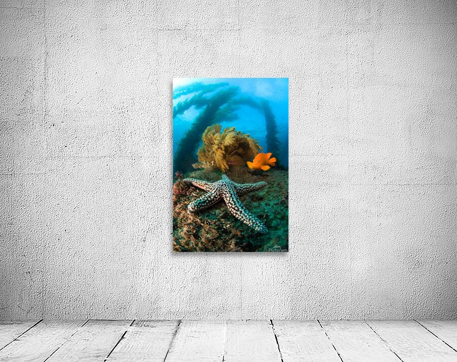 Ocean reef scenery Wall Preview