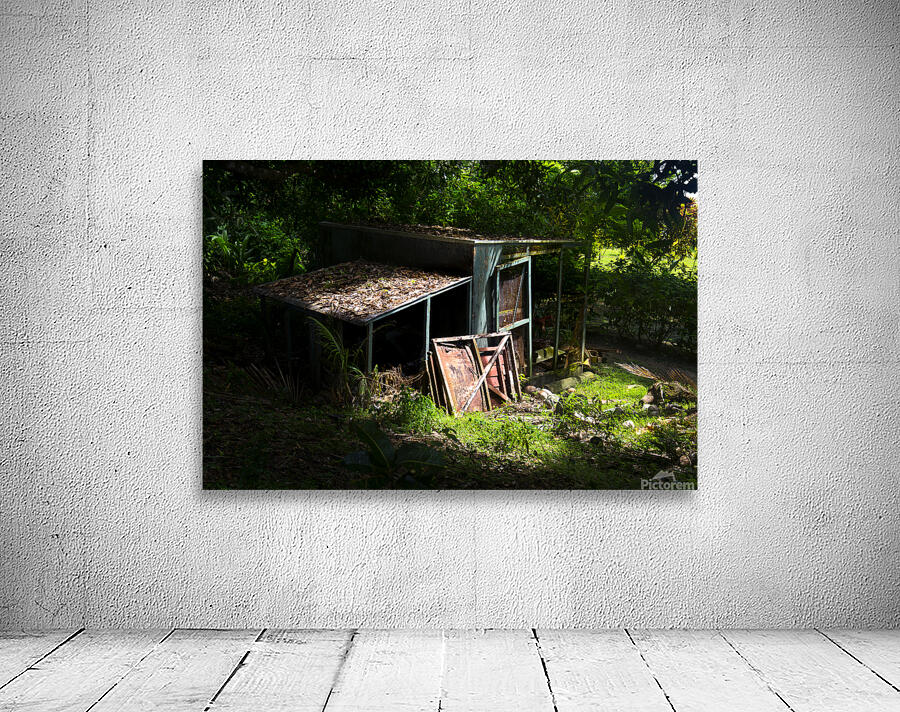 Old shack Wall Preview