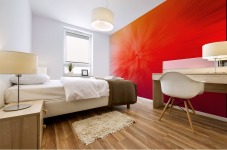 Distance Mural print