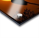 Egret Eclipse - 2017 Acrylic print