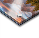 Moose in the Morning Impression Acrylique