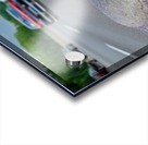 Tense Turtle  Acrylic print