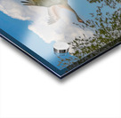 Three cranes a crusin Impression Acrylique