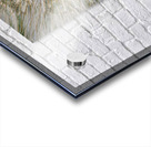 Dandelion Pappus Acrylic print