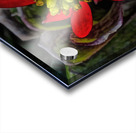 Euphorbia on Display Impression Acrylique