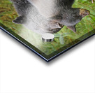 Mom and Cub Impression Acrylique